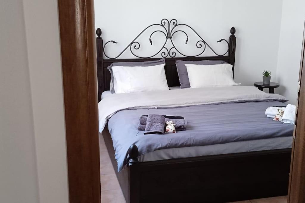 Elea Home Apartments Alexandroupoli Esterno foto