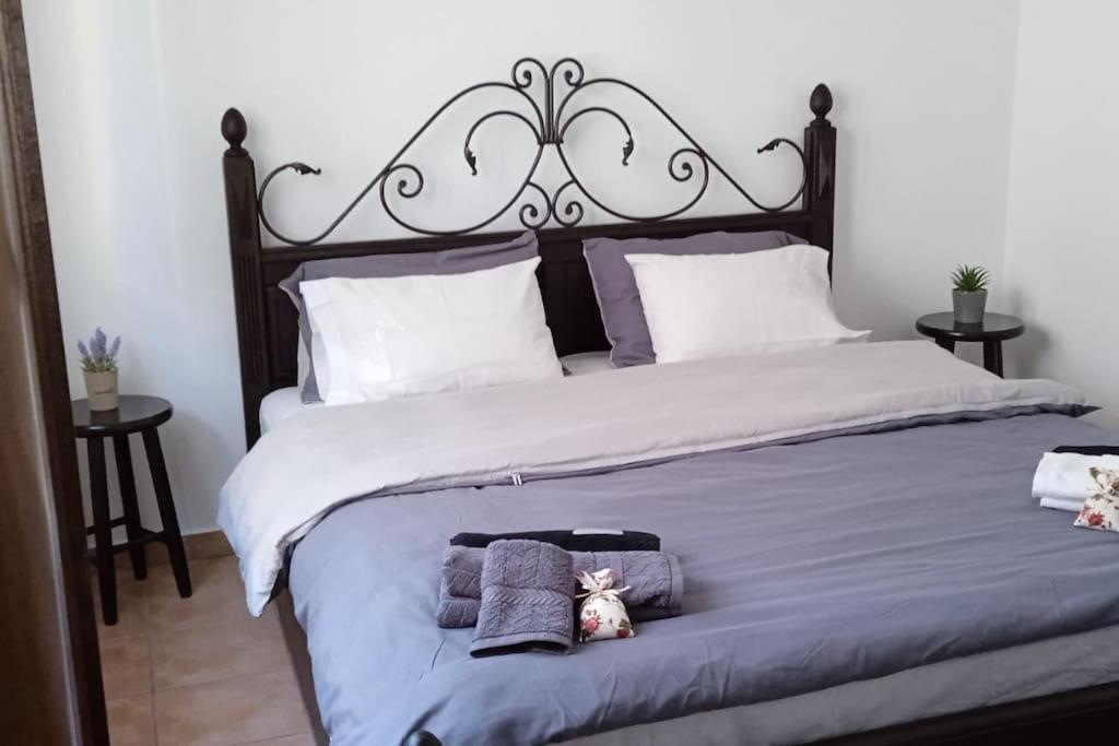 Elea Home Apartments Alexandroupoli Esterno foto